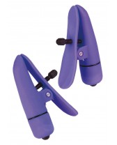 Pinze per capezzoli NIPPLETTES PURPLE