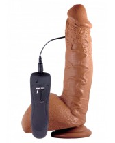 Vibratore Super realistico Shane Diesel 25 cm